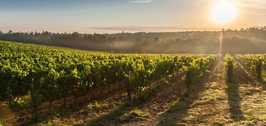 Krydstogt Middelhavet